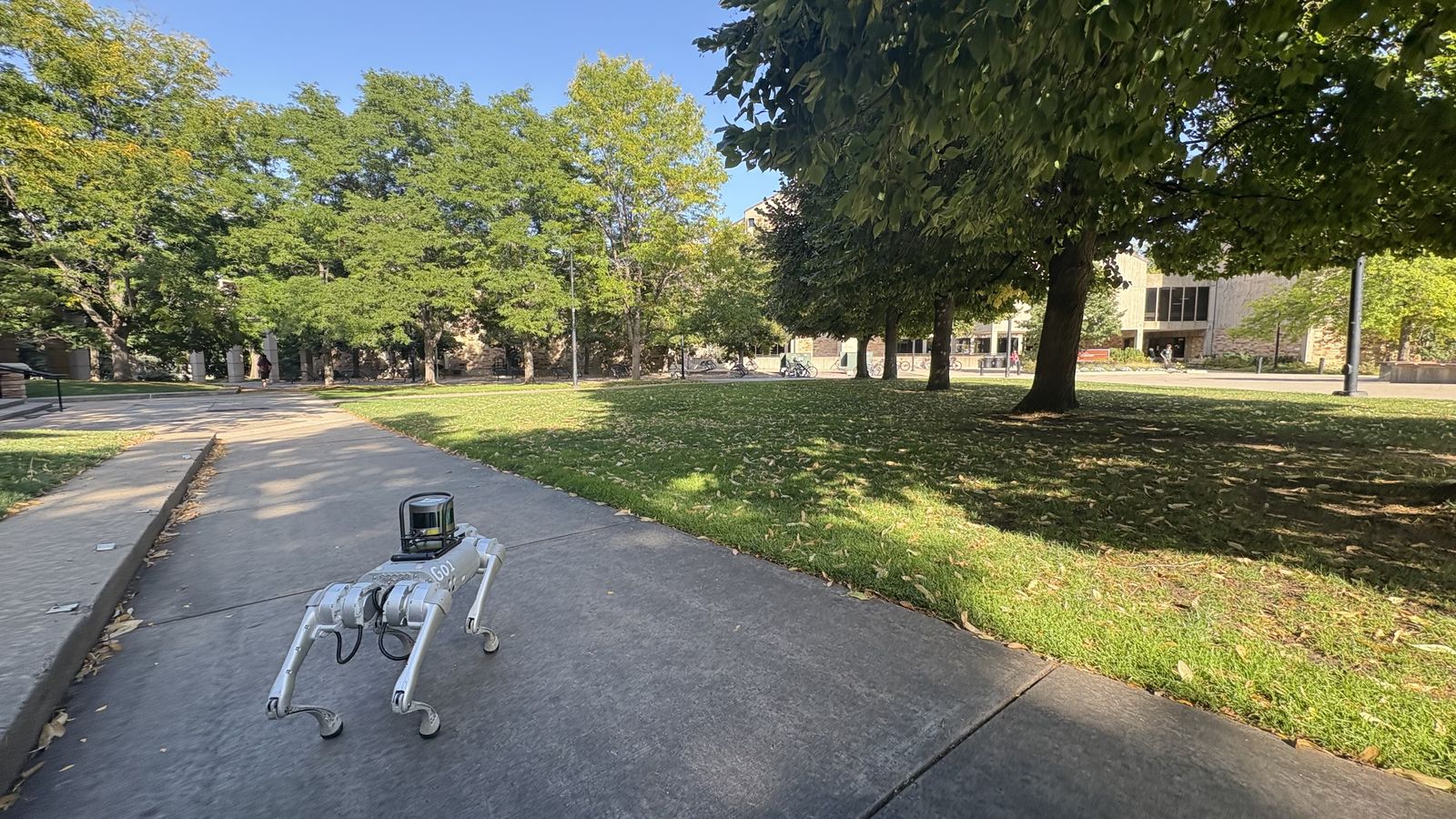 Unitree Go1 quadruped robot navigating on grass terrain